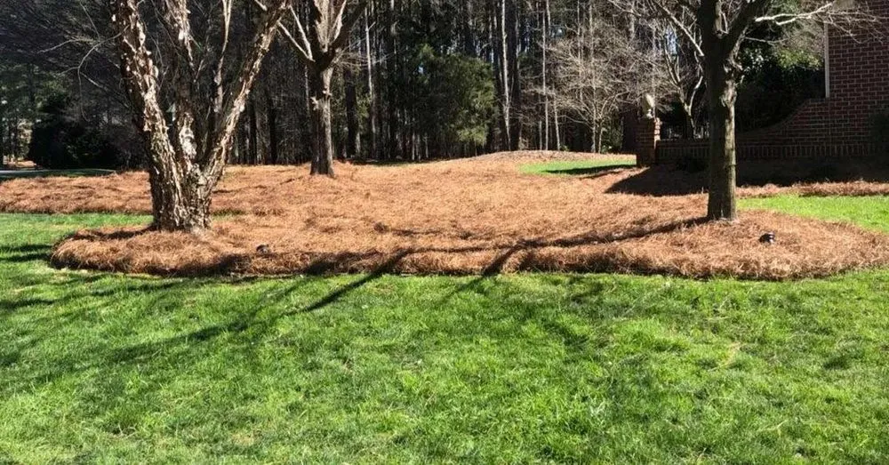 Expert outdoor landscaping experts serving Roswell, GA - Monster Pine Straw