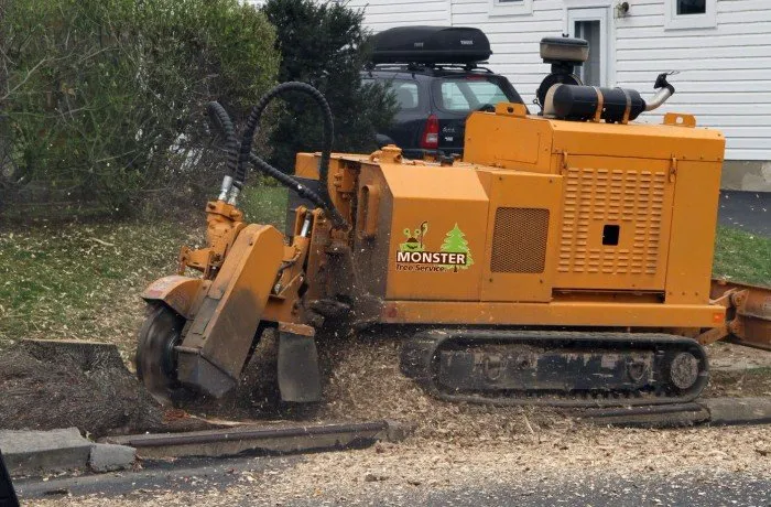 Local lawn care service experts serving Newnan, GA - Monster Tree Service of Peachtree