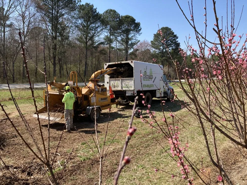 Reliable yard maintenance for homes across Newnan, GA - Monster Tree Service of Peachtree