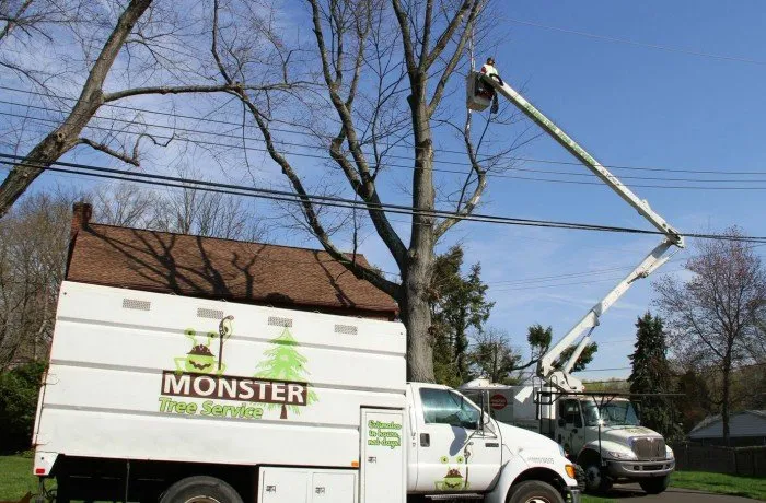Local lawn care service for homes across Newnan, GA - Monster Tree Service of Peachtree