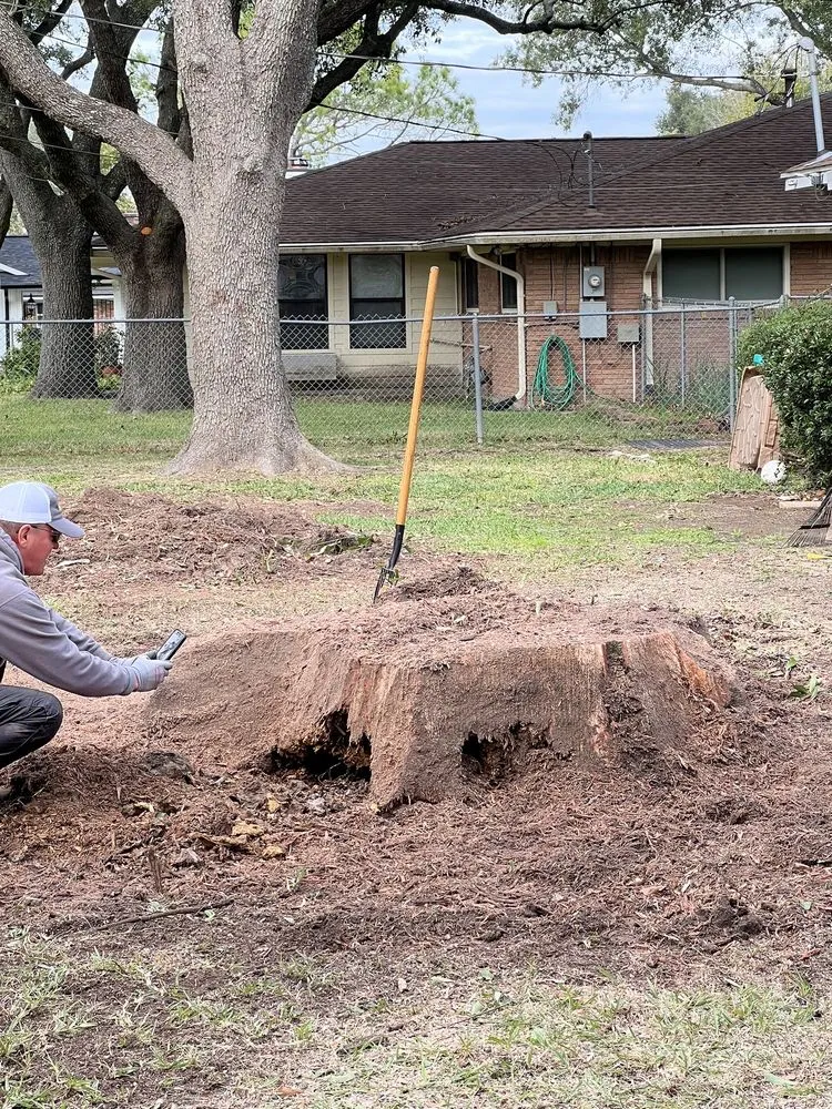 Top-rated garden landscaping experts serving Deer Park, TX - Monster Tree Service of Texas Gulf Coast