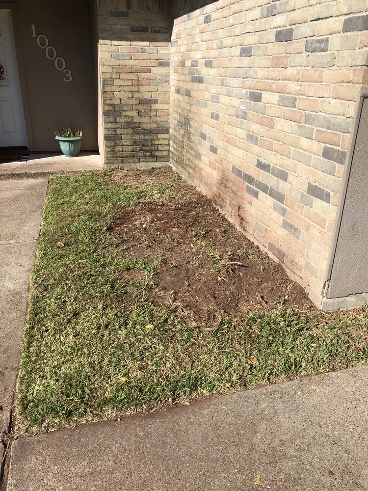 Local lawn mowing service near you across Deer Park, TX - Monster Tree Service of Texas Gulf Coast