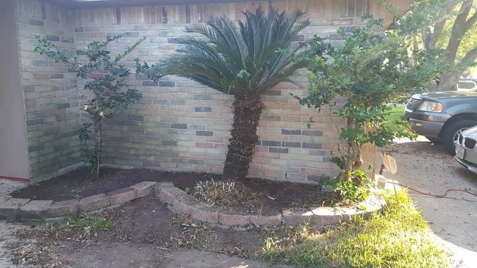 Professional garden landscaping in Deer Park, TX - Monster Tree Service of Texas Gulf Coast