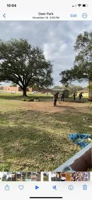 Monster Tree Service of Texas Gulf Coast