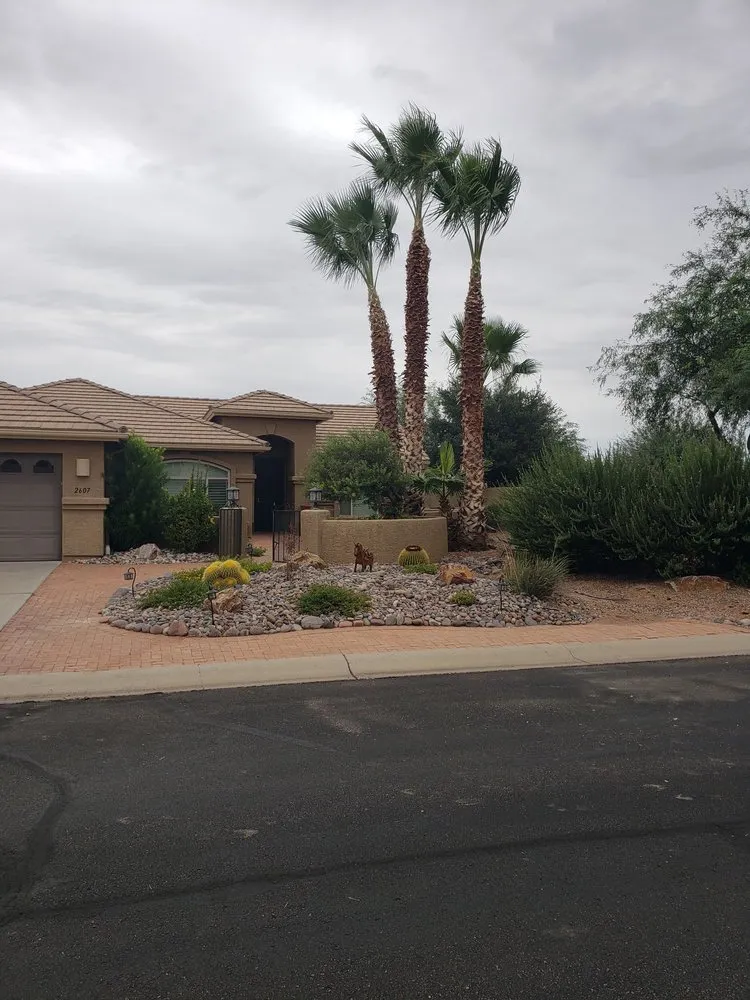 Affordable lawn care service experts serving Sahuarita, AZ - Monstrosity Tree Service, LLC