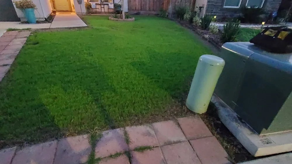 Reliable landscape design experts serving Sacramento, CA - Montalvo BigFoot Lawn Service