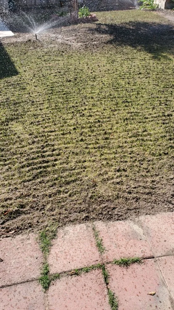 Professional yard cleanup service experts serving Sacramento, CA - Montalvo BigFoot Lawn Service