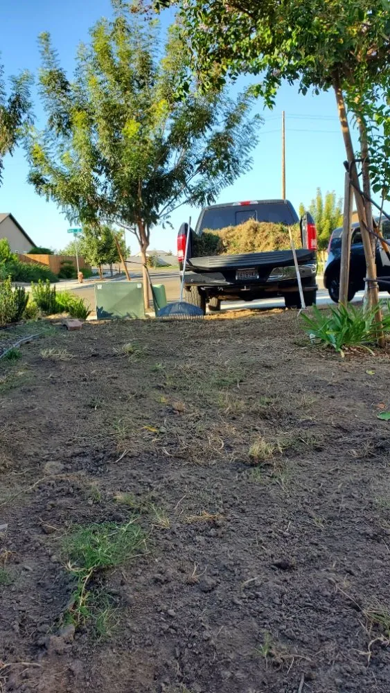 Top-rated landscape design for outdoor upgrades across Sacramento, CA - Montalvo BigFoot Lawn Service