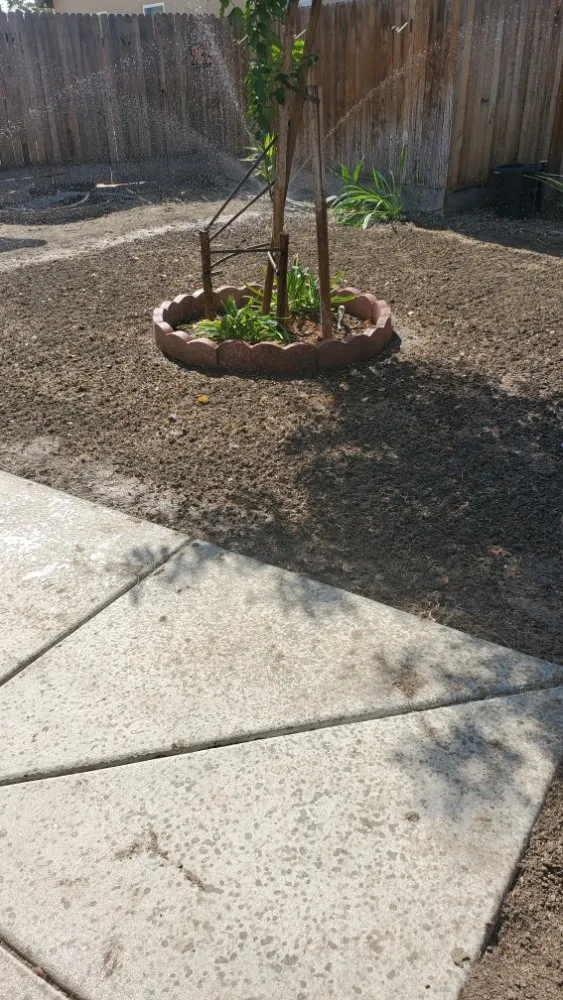 Expert outdoor landscaping in Sacramento, CA by Montalvo BigFoot Lawn Service