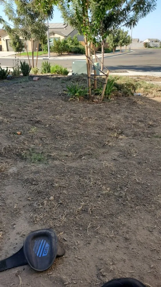 Custom lawn mowing service experts serving Sacramento, CA - Montalvo BigFoot Lawn Service