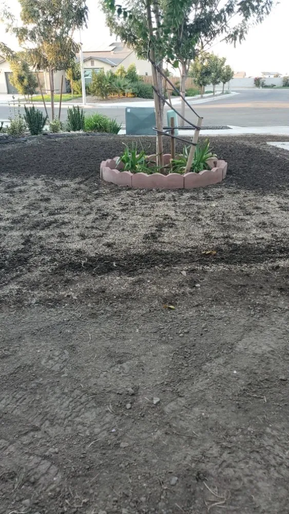 Custom yard cleanup service in Sacramento, CA - Montalvo BigFoot Lawn Service