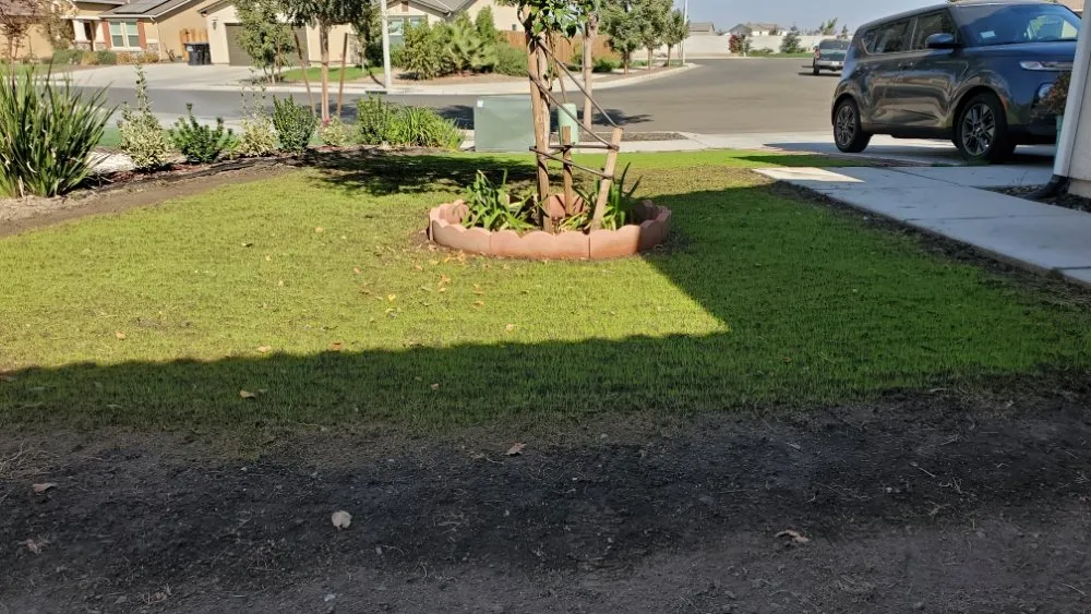 Trusted landscape installation in Sacramento, CA by Montalvo BigFoot Lawn Service