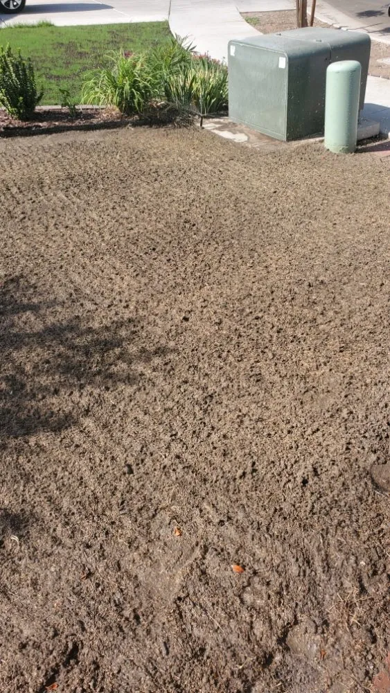 Custom outdoor landscaping for year-round maintenance across Sacramento, CA - Montalvo BigFoot Lawn Service