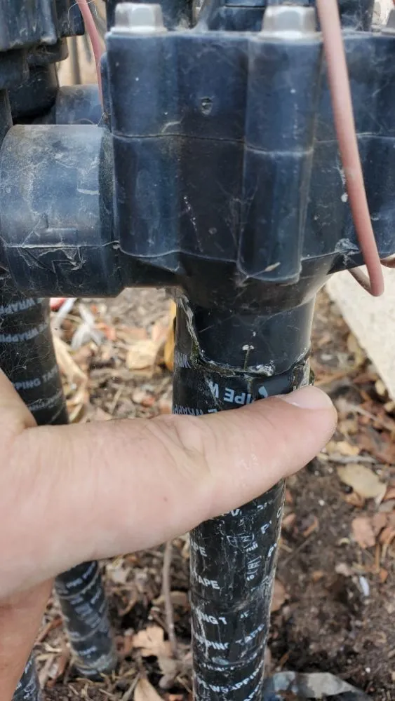 Expert yard cleanup service in Sacramento, CA - Montalvo BigFoot Lawn Service