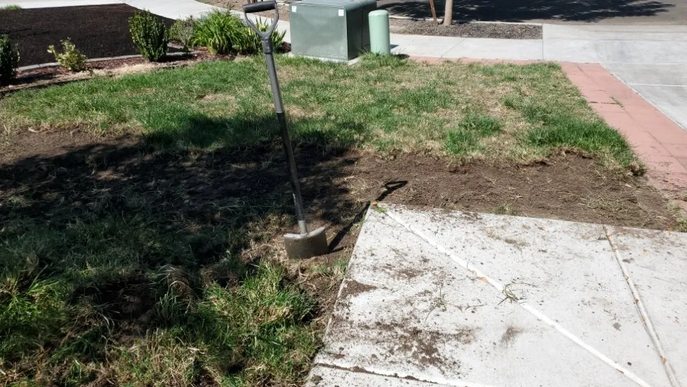 Reliable outdoor landscaping in Sacramento, CA - Montalvo BigFoot Lawn Service