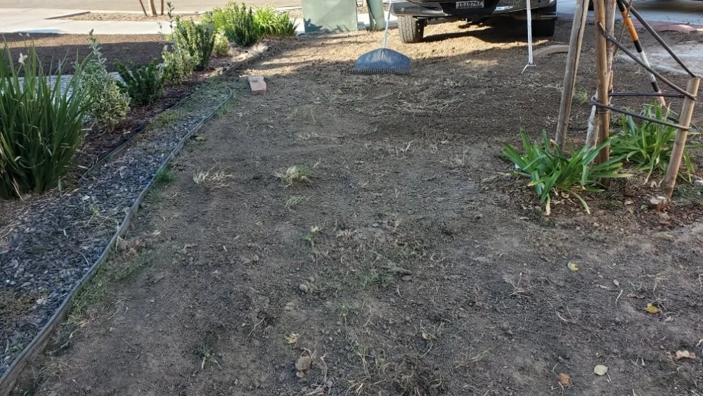 Custom landscaping services for residential properties in Sacramento, CA by Montalvo BigFoot Lawn Service