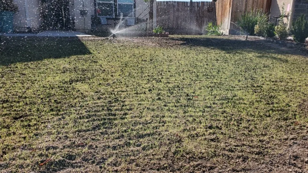 Trusted yard cleanup service experts serving Sacramento, CA - Montalvo BigFoot Lawn Service