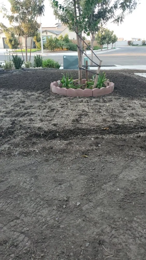 Local landscape installation experts serving Sacramento, CA - Montalvo BigFoot Lawn Service