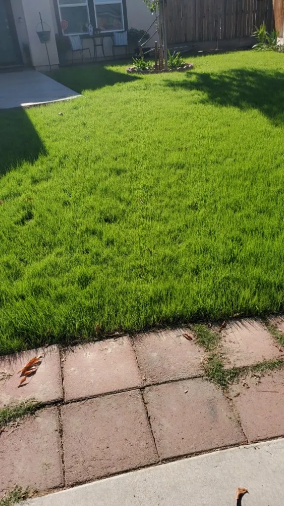 Reliable lawn care service in Sacramento, CA by Montalvo BigFoot Lawn Service