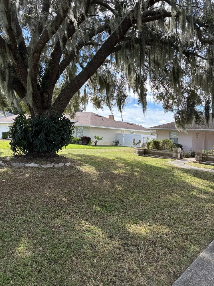 Reliable landscape design experts serving Eloise, FL - Montalvo Lawn Care