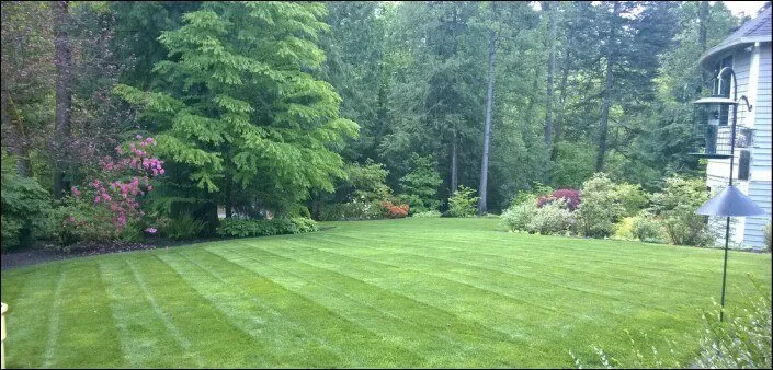 Reliable yard cleanup service in Portland, OR by Montana Landscaping Maintenance