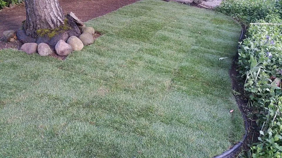 Affordable outdoor landscaping experts serving Portland, OR - Montana Landscaping Maintenance