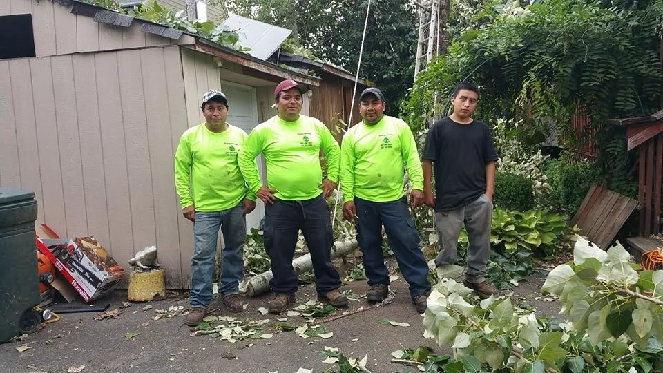 Professional yard cleanup service in Portland, OR by Montana Landscaping Maintenance