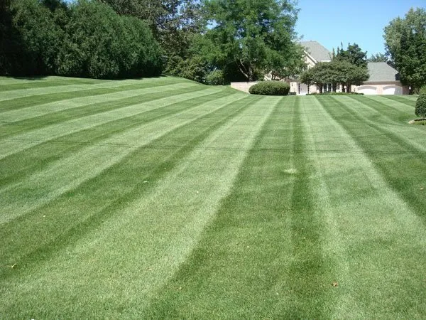Top-rated lawn care service for outdoor upgrades in Portland, OR by Montana Landscaping Maintenance
