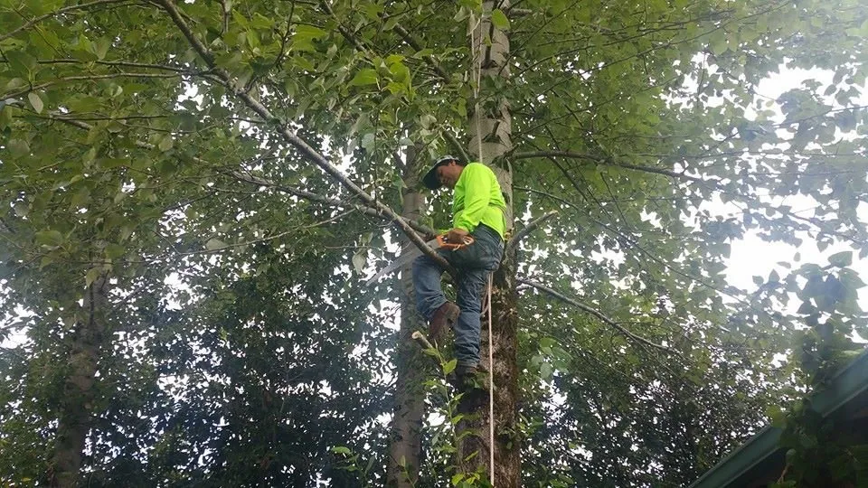 Custom outdoor landscaping for outdoor upgrades in Portland, OR by Montana Landscaping Maintenance