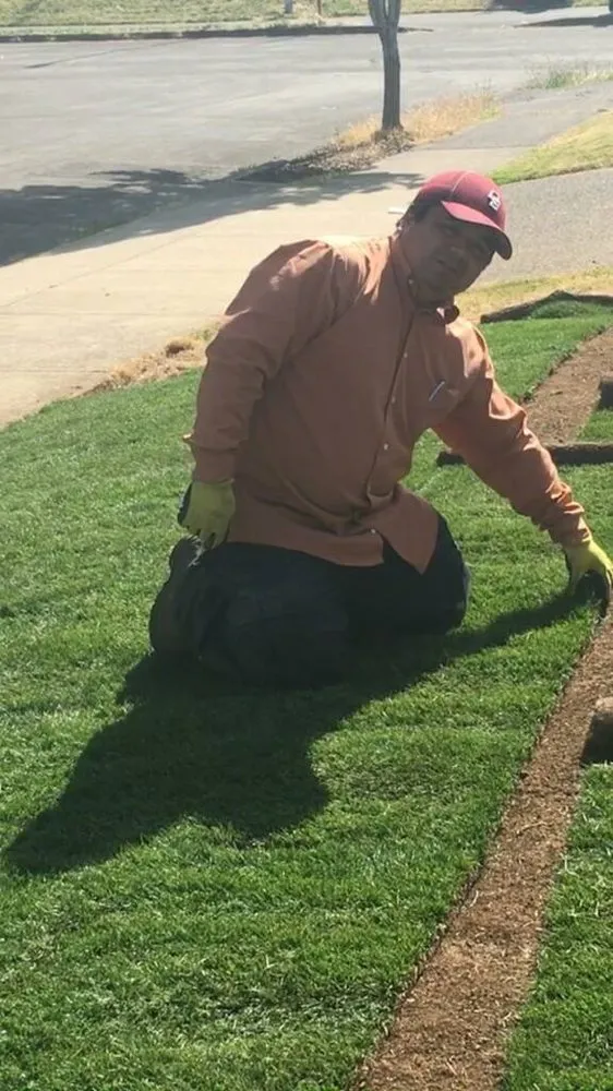 Professional landscaping services with custom design in Portland, OR by Montana Landscaping Maintenance