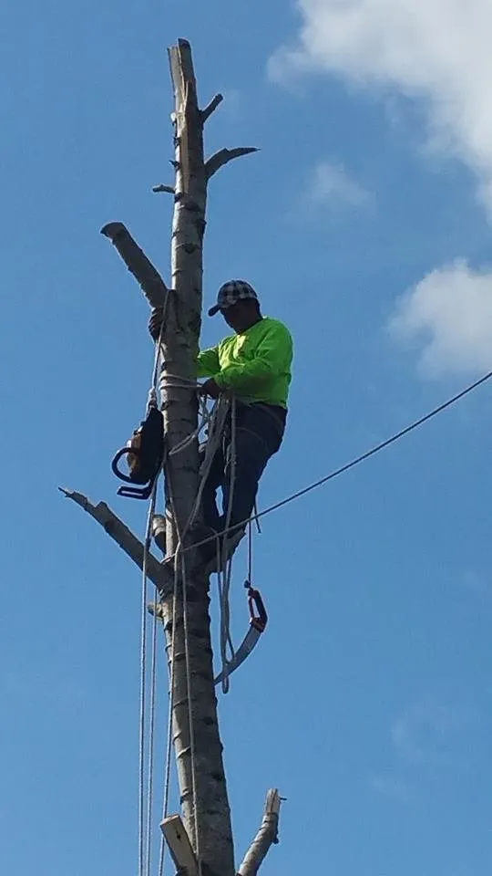 Expert landscape installation in Portland, OR by Montana Landscaping Maintenance