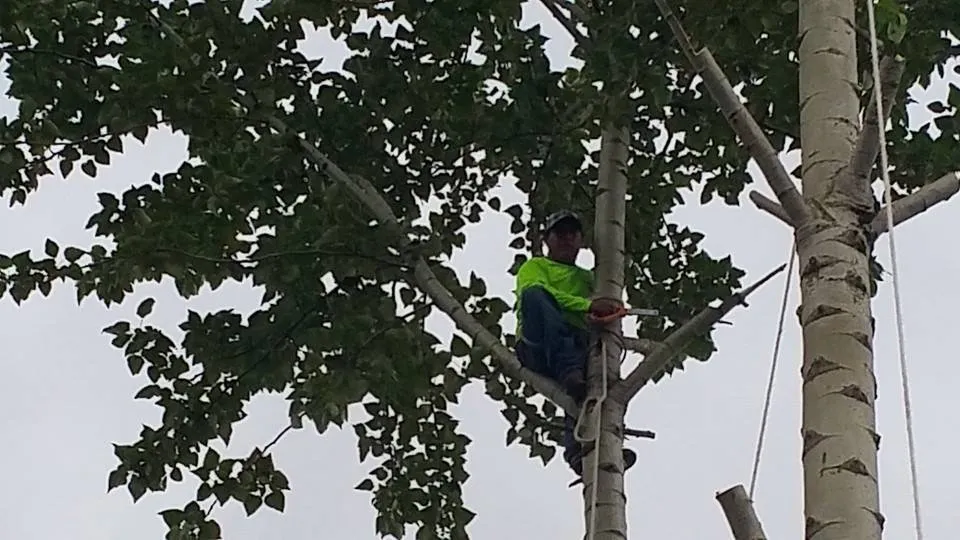 Trusted landscaping services for outdoor upgrades across Portland, OR - Montana Landscaping Maintenance