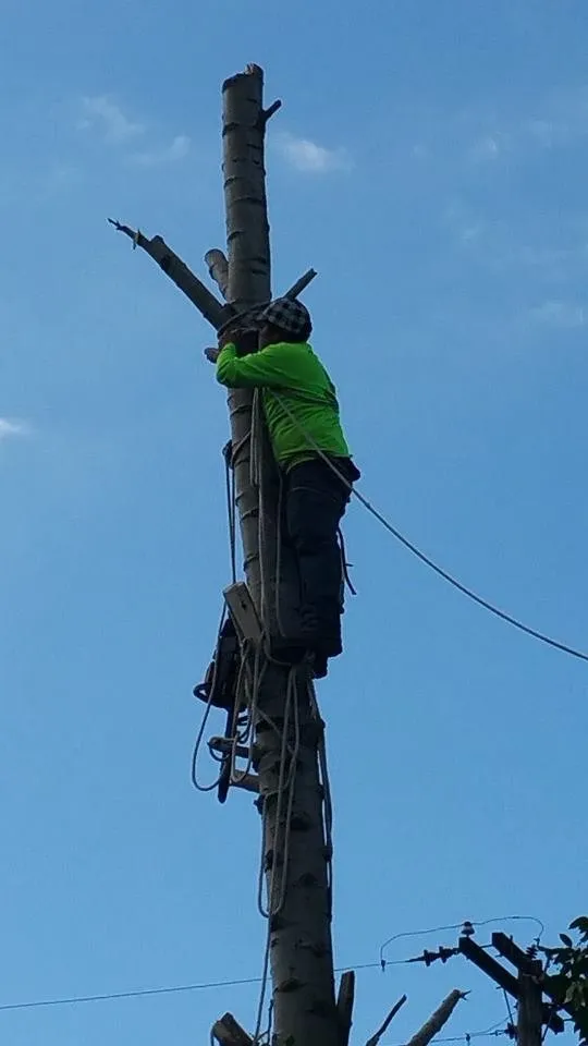 Trusted lawn mowing service experts serving Portland, OR - Montana Landscaping Maintenance