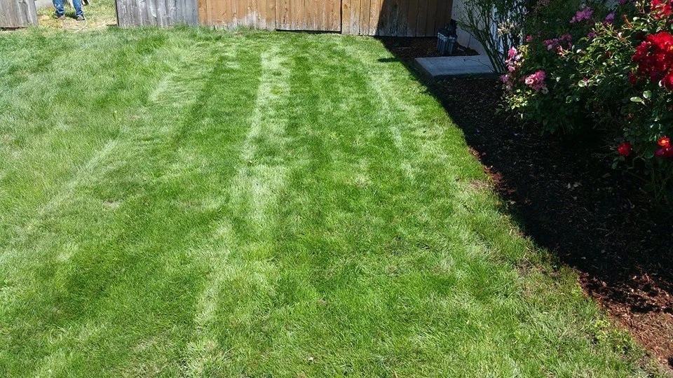Top-rated yard maintenance for residential properties in Portland, OR by Montana Landscaping Maintenance