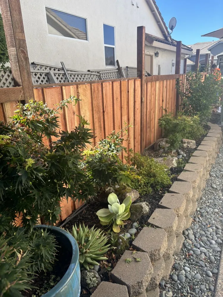 Top-rated lawn care service experts serving Woodland, CA - Montana Landscaping