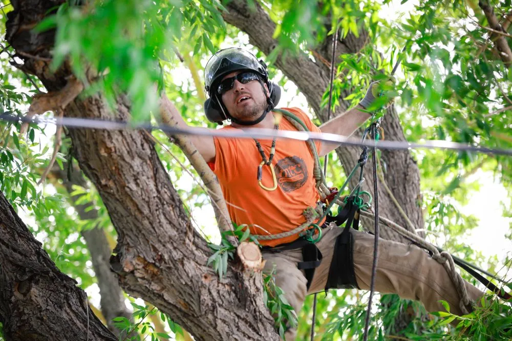Custom garden landscaping experts serving Helena, MT - Montana Tree Care
