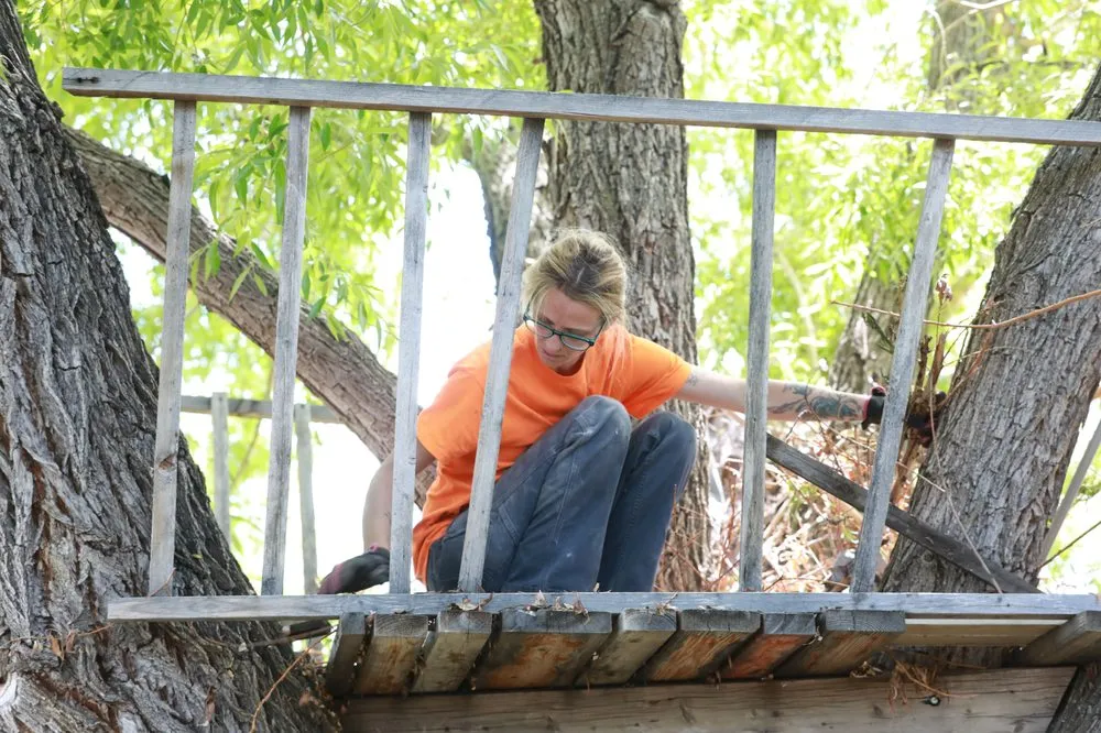 Affordable yard cleanup service in Helena, MT - Montana Tree Care