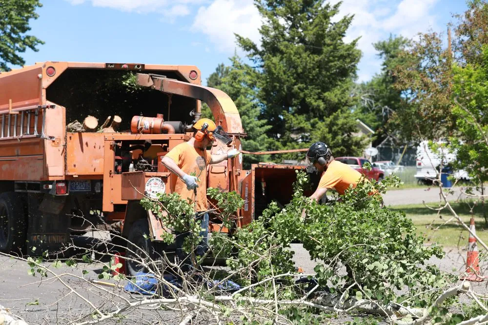 Expert landscape design in Helena, MT by Montana Tree Care