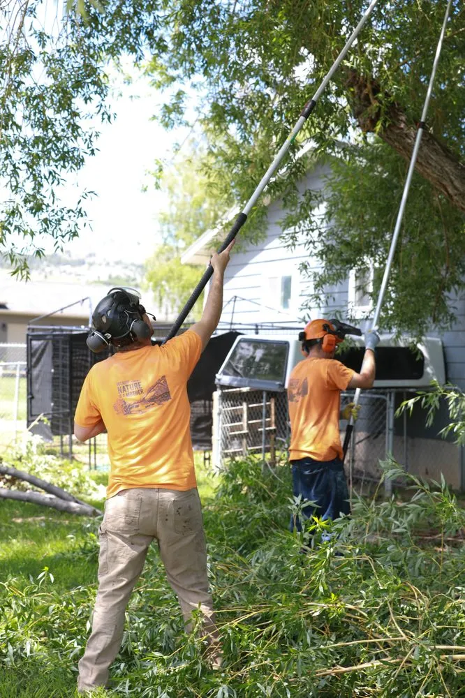 Affordable landscaping services for outdoor upgrades in Helena, MT by Montana Tree Care