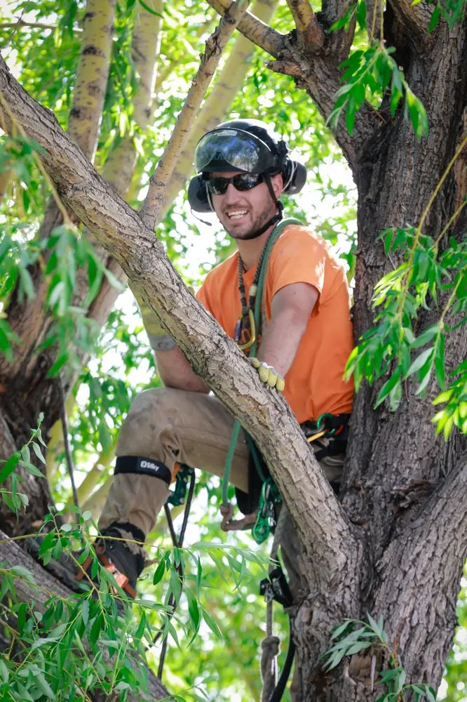 Top-rated landscape design in Helena, MT by Montana Tree Care