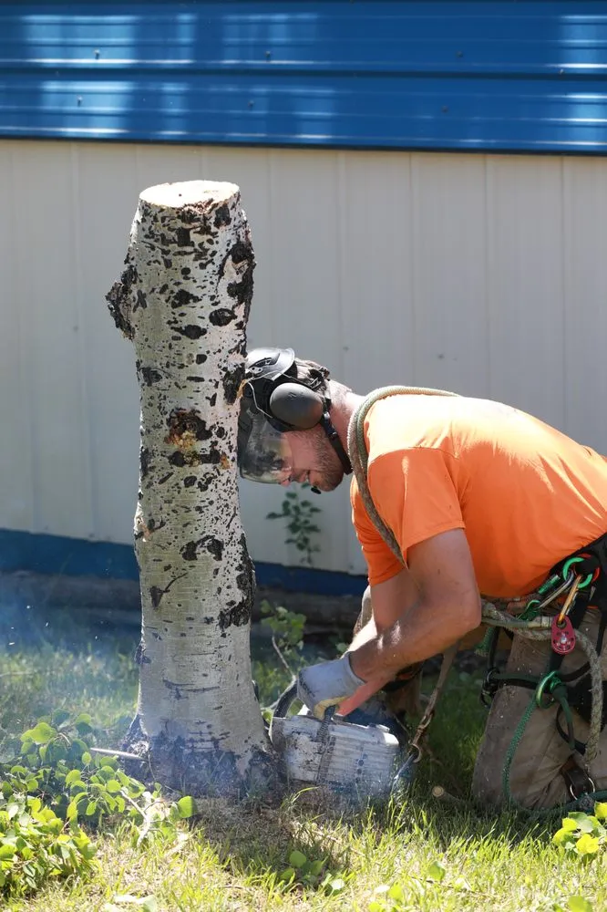 Top-rated lawn mowing service experts serving Helena, MT - Montana Tree Care