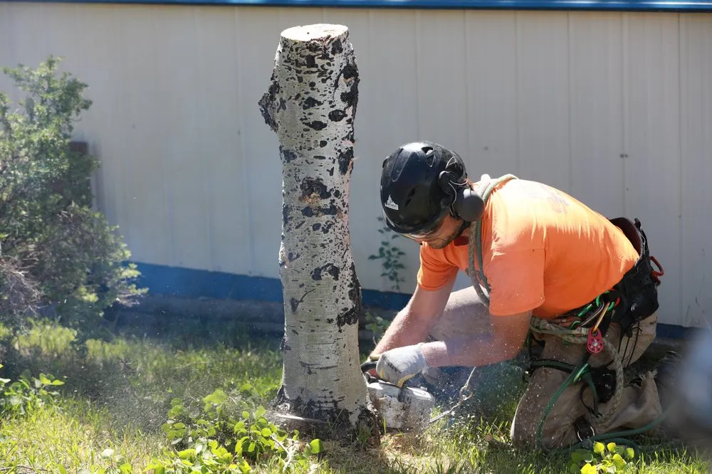 Reliable lawn care service in Helena, MT by Montana Tree Care