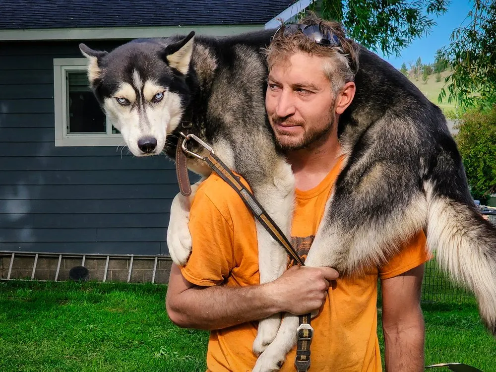 Trusted garden landscaping for homes across Helena, MT - Montana Tree Care