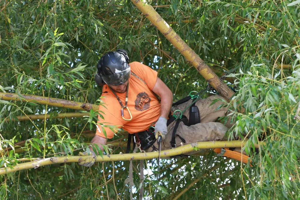 Custom outdoor landscaping for beautiful yards in Helena, MT by Montana Tree Care