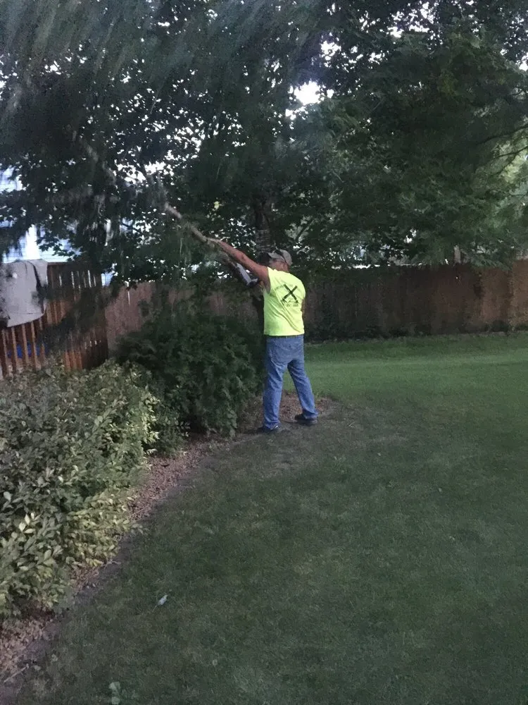 Reliable landscape installation for outdoor upgrades across Fairmont, MN - Montana Tree Service Plus