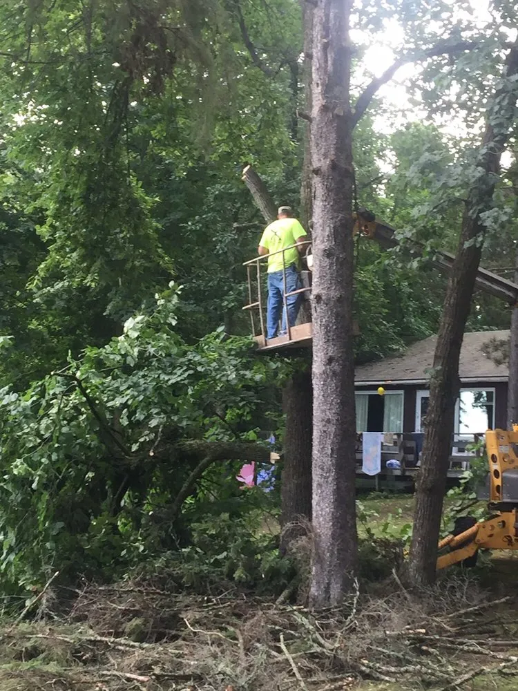 Affordable residential landscaping for outdoor upgrades in Fairmont, MN by Montana Tree Service Plus