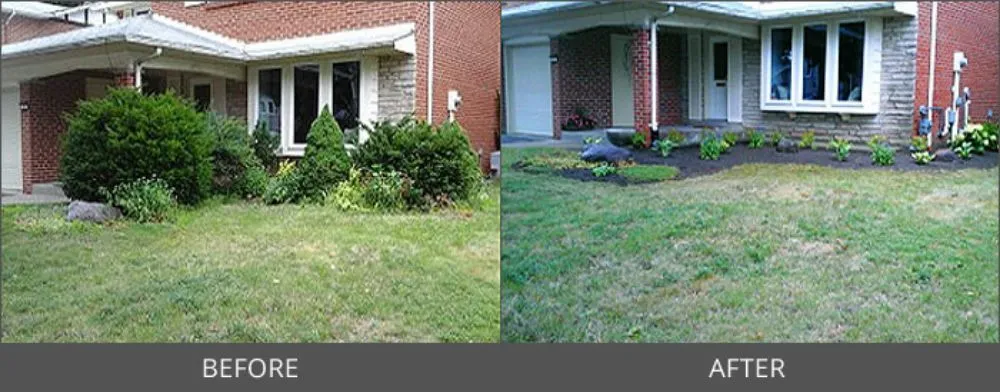 Affordable landscape design experts serving Vallejo, CA - Montano Landscaping