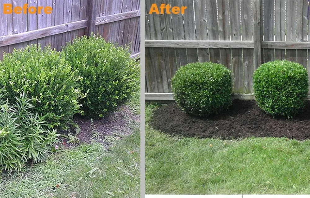Top-rated yard cleanup service with custom design across Vallejo, CA - Montano Landscaping