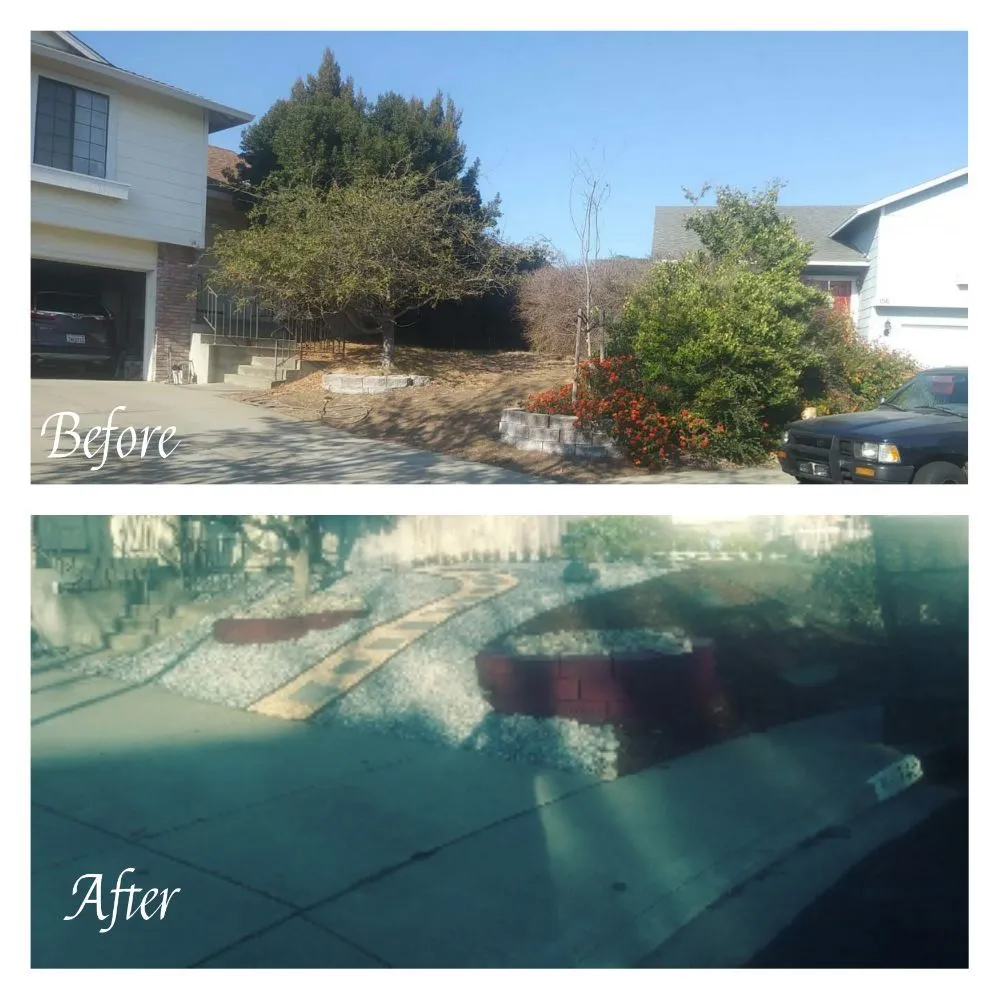 Affordable yard cleanup service for homes across Vallejo, CA - Montano Landscaping