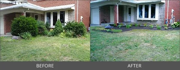 Montano Landscaping Logo